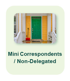 Mini Correspondents / Non-Delegated